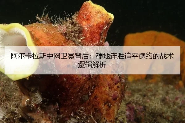 阿尔卡拉斯中网卫冕背后：硬地连胜追平德约的战术逻辑解析